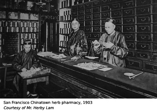 Herbalists behind a counter lined with medicine drawers in a San Francisco Chinatown herb pharmacy in 1903