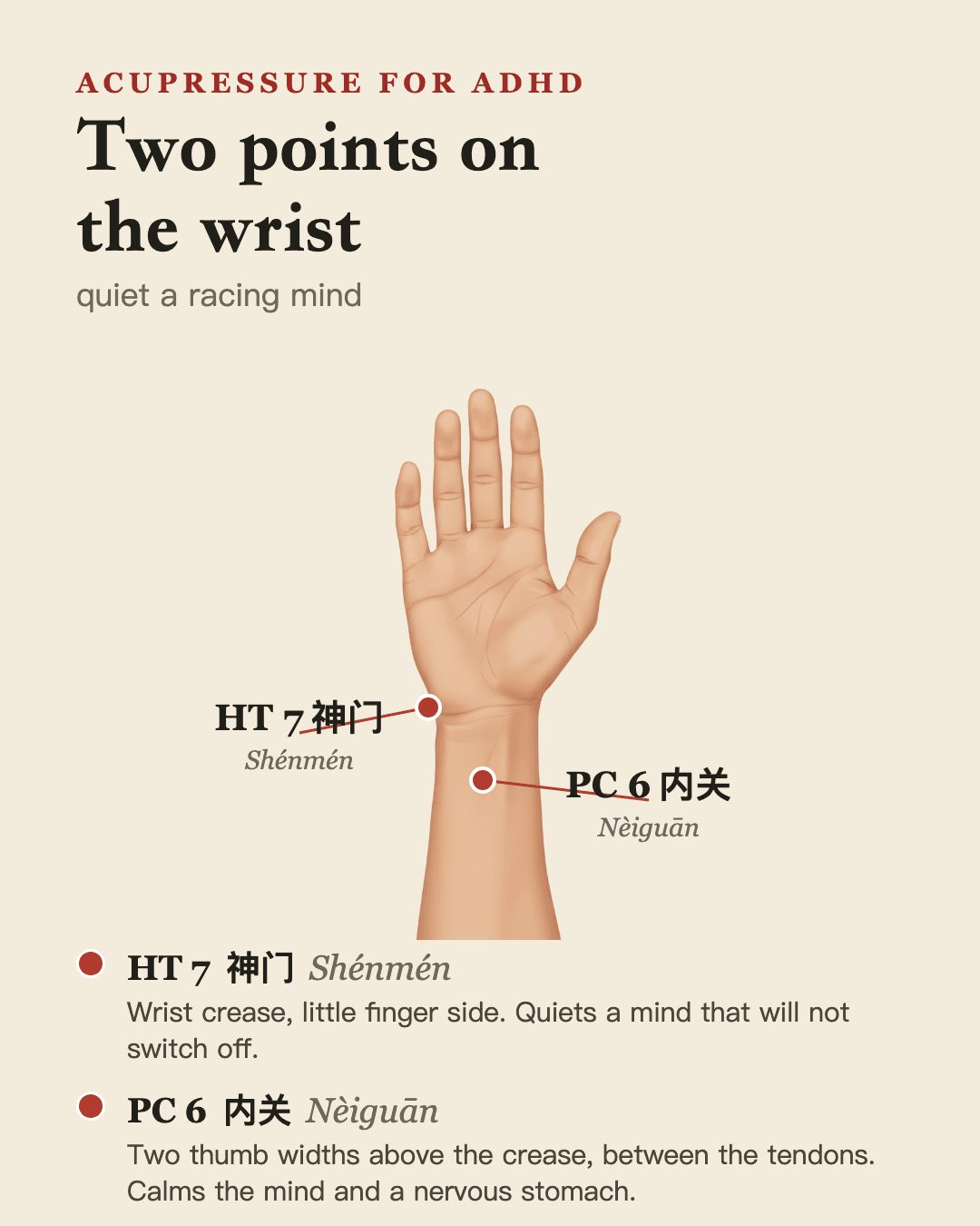 Two calming points on the wrist: HT 7 神门 Shénmén at the wrist crease and PC 6 内关 Nèiguān on the inner forearm