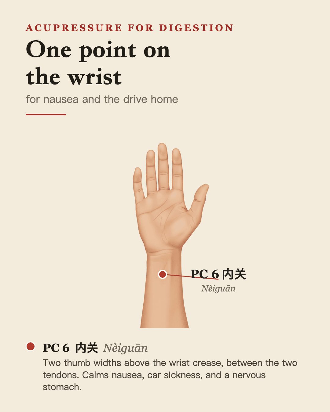 PC 6, Neiguan, shown on the inner forearm above the wrist crease