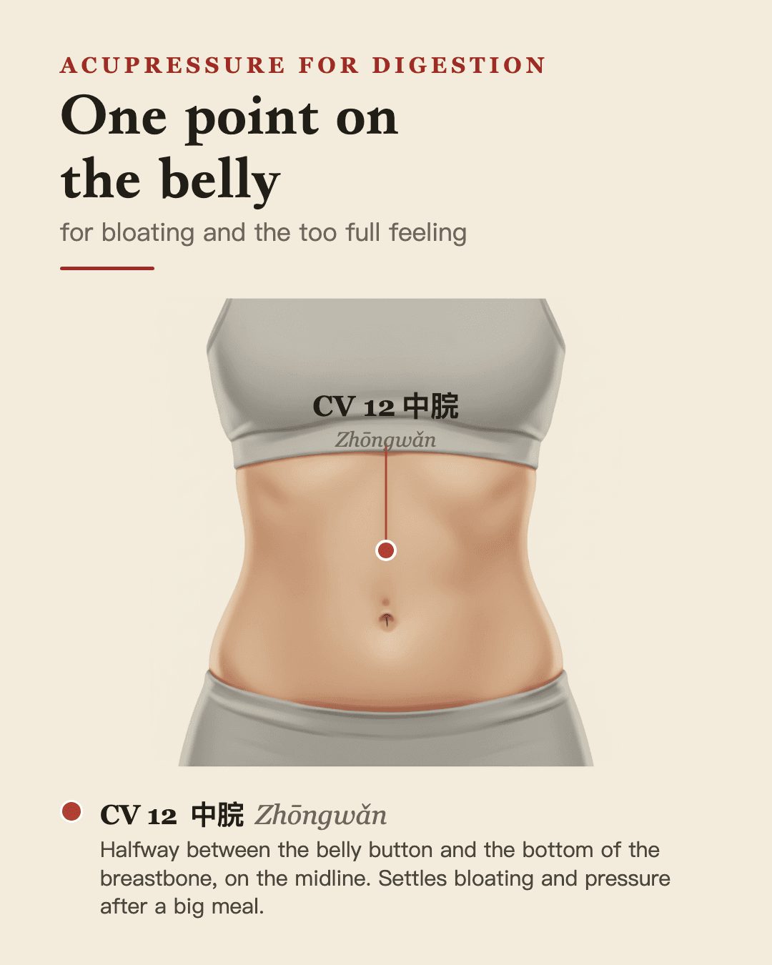 CV 12, Zhongwan, shown between the navel and the lower end of the breastbone