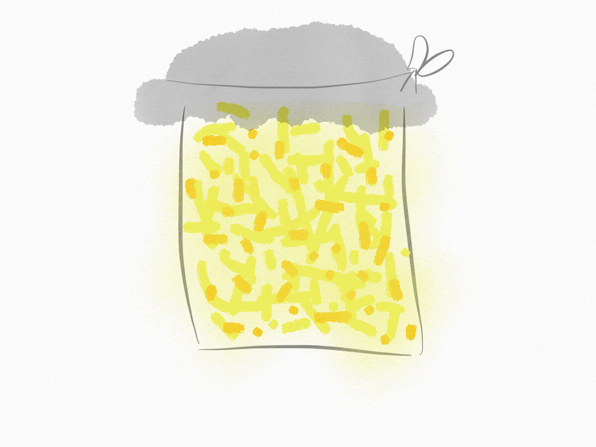 Hand-drawn jar of a ginger bug fermenting under a cloth lid tied with string