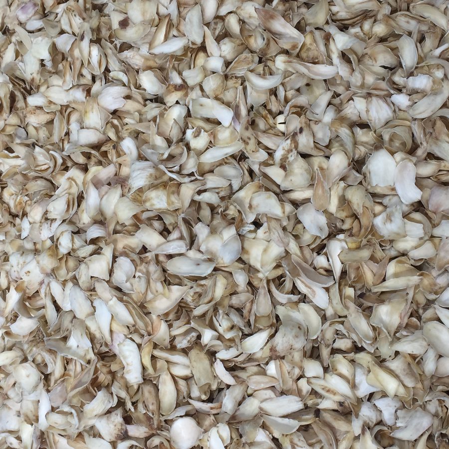lily bulb, dried bulb scale