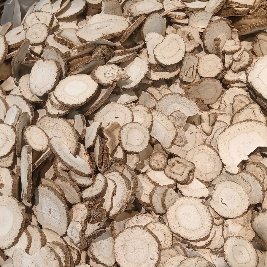 Chinese angelica root, dried root slices