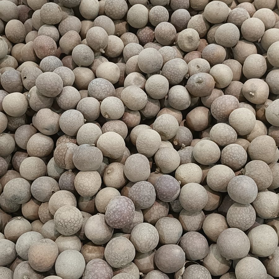longan, dried fruit